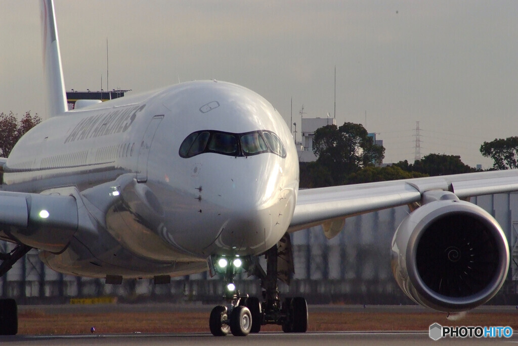 いい日旅立ち冬✈JA16XJ