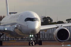 いい日旅立ち冬✈JA16XJ