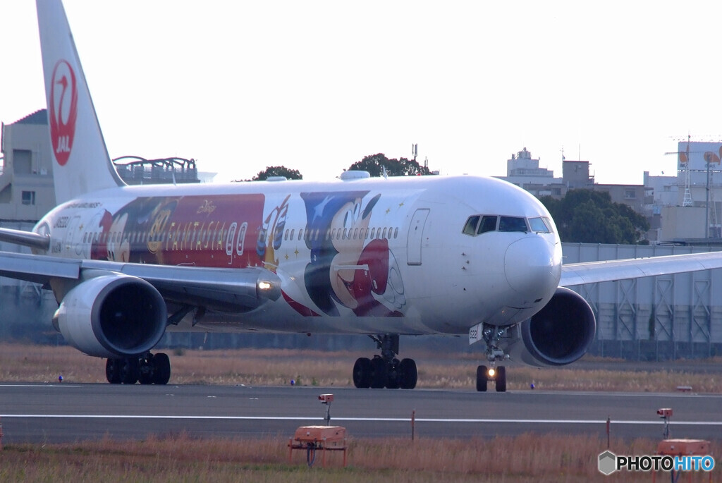 JAL DREAM EXPRESS FANTASIA 80✈