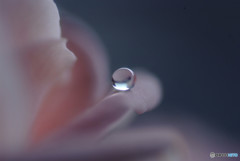 Everlasting Love・雫