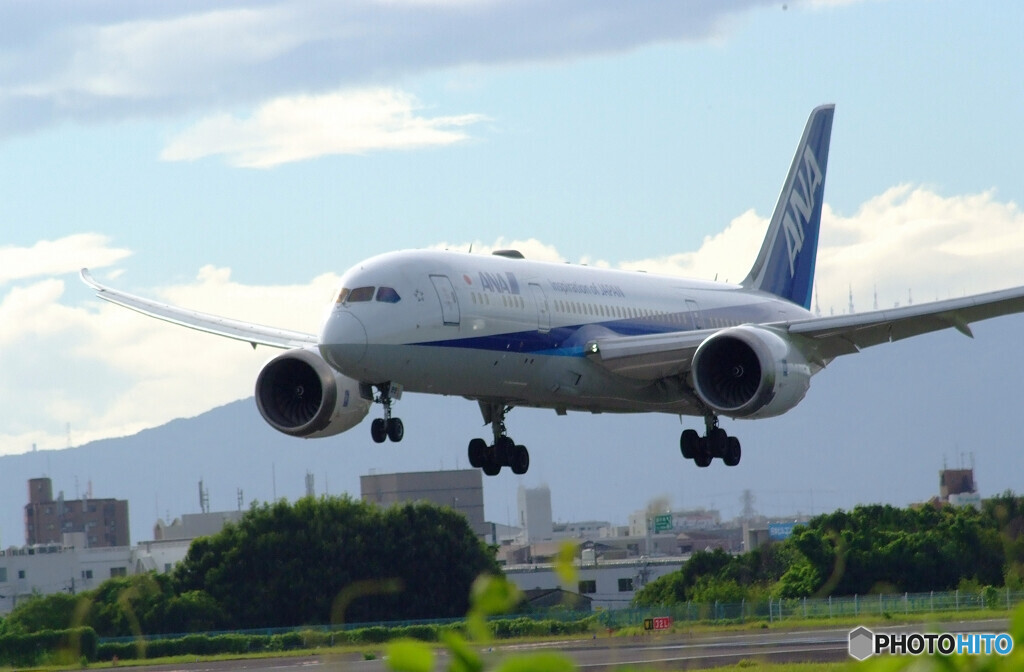 7月の朝✈ANA boeing 787-8
