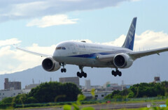 7月の朝✈ANA boeing 787-8