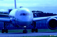 蒼の肖像✈Boeing 787-8 Dreamliner