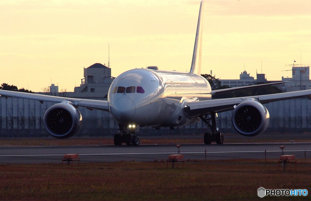December Morning✈Dreamliner