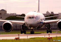 ギラギラした夏✈Dreamliner 