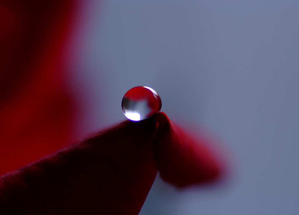 長月の惑星・雫