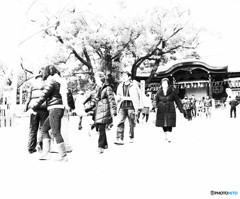 願いを込めて歩く