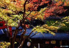 鳥居本　平野屋にて