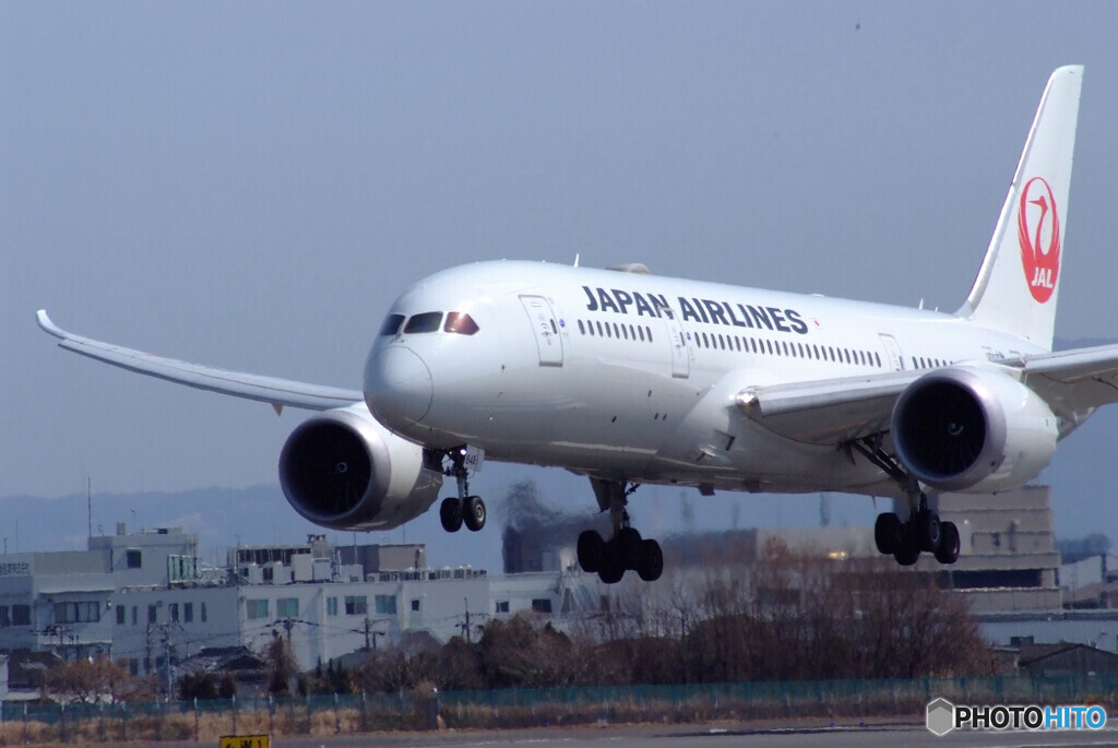 March Afternoon✈787-8 Dreamliner