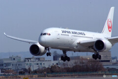 March Afternoon✈787-8 Dreamliner