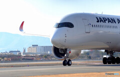 Afternoon of brillianceⅢ✈JA07XJ