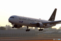 December MorningⅦ✈Boeing 767