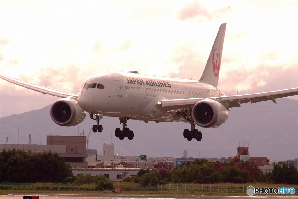 ようこそHARADAへ✈787