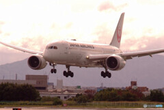 ようこそHARADAへ✈787