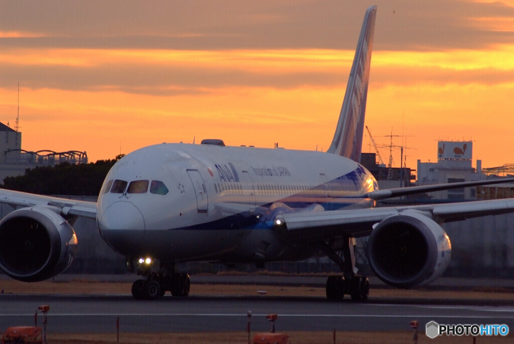 大空に誘うⅢ✈Boeing 787-8