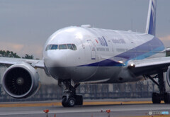 Blissful Time・777-300