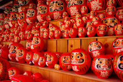 俺たちの紅葉！達磨