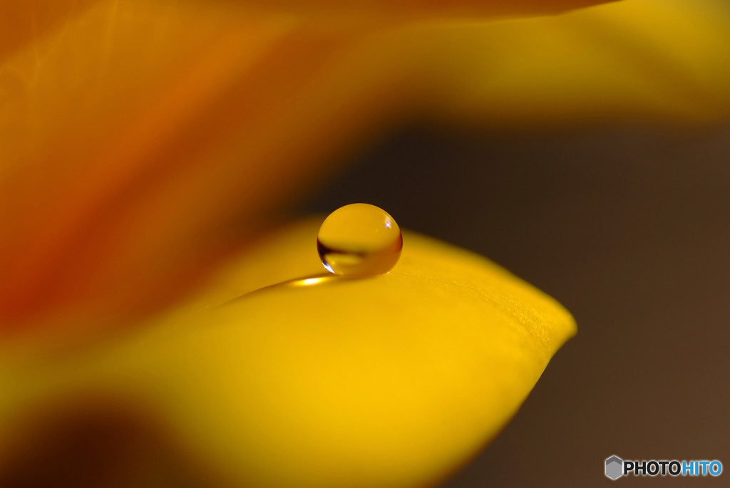 恋する惑星・Ⅱ