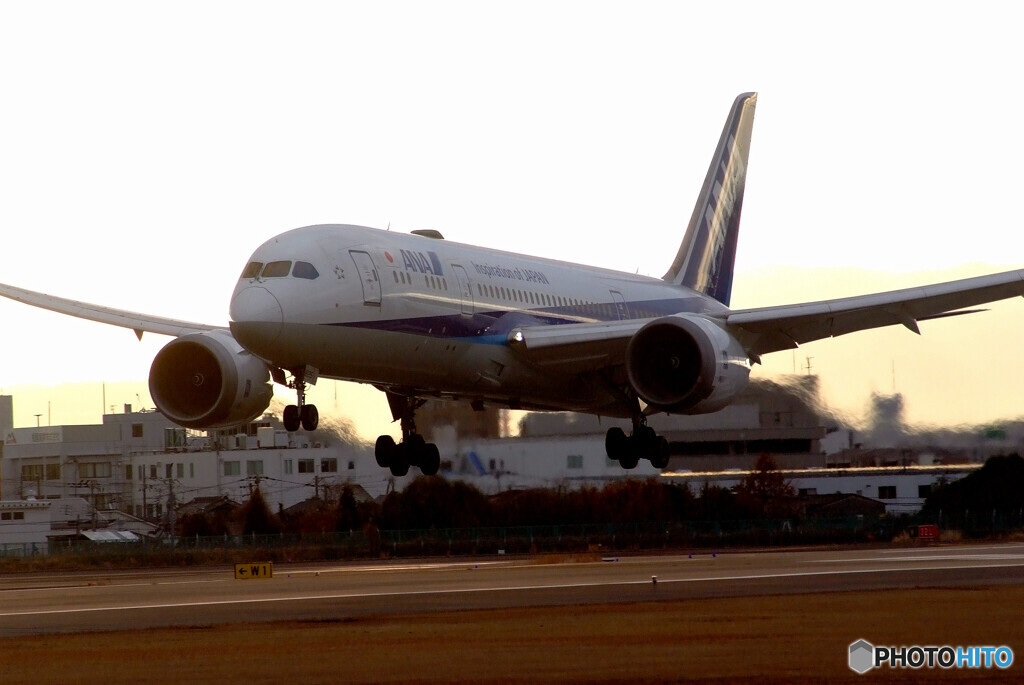 SKYLANDの朝Ⅵ✈Boeing 787-8