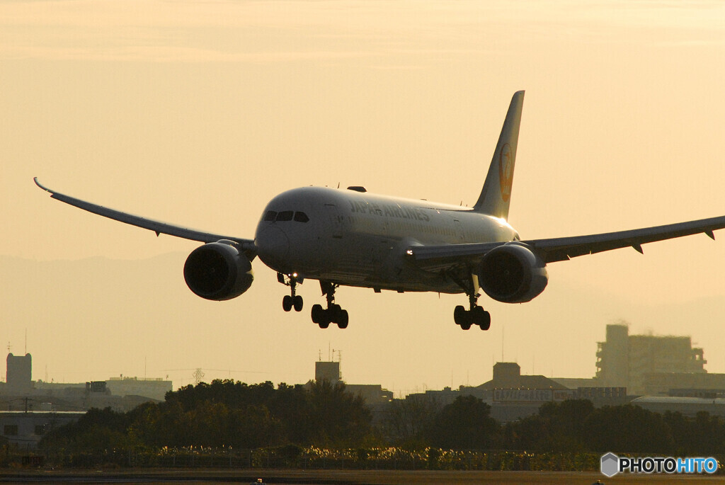 Morning on SaturdayⅢ✈Boeing 787