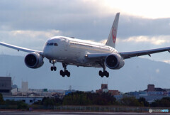 RebornⅤ✈日本の絆