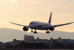 桜月の朝✈Boeing787-9