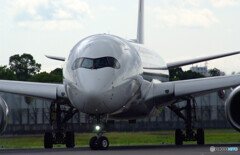 Nice Face✈AirBus350-900