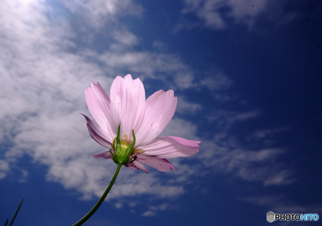 小さな秋見つけたよ！