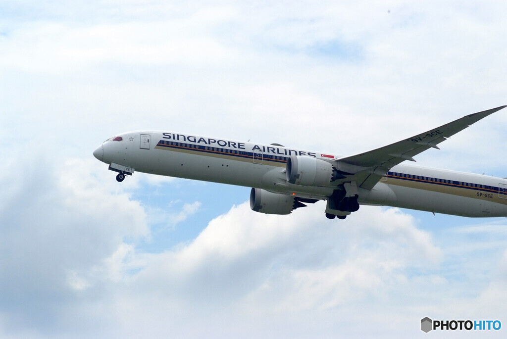 関空物語✈ＳＱ航空 9V-SCE