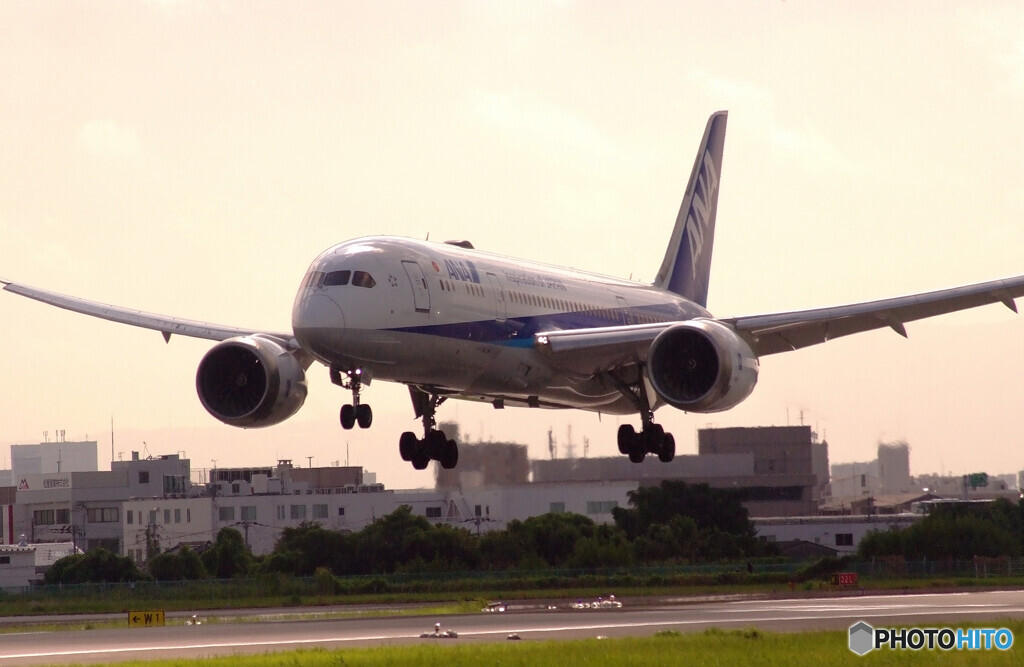HARADAの朝✈Boeing 787-8