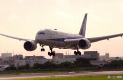 HARADAの朝✈Boeing 787-8