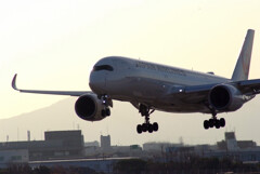 Present✈SkyLand HARADA