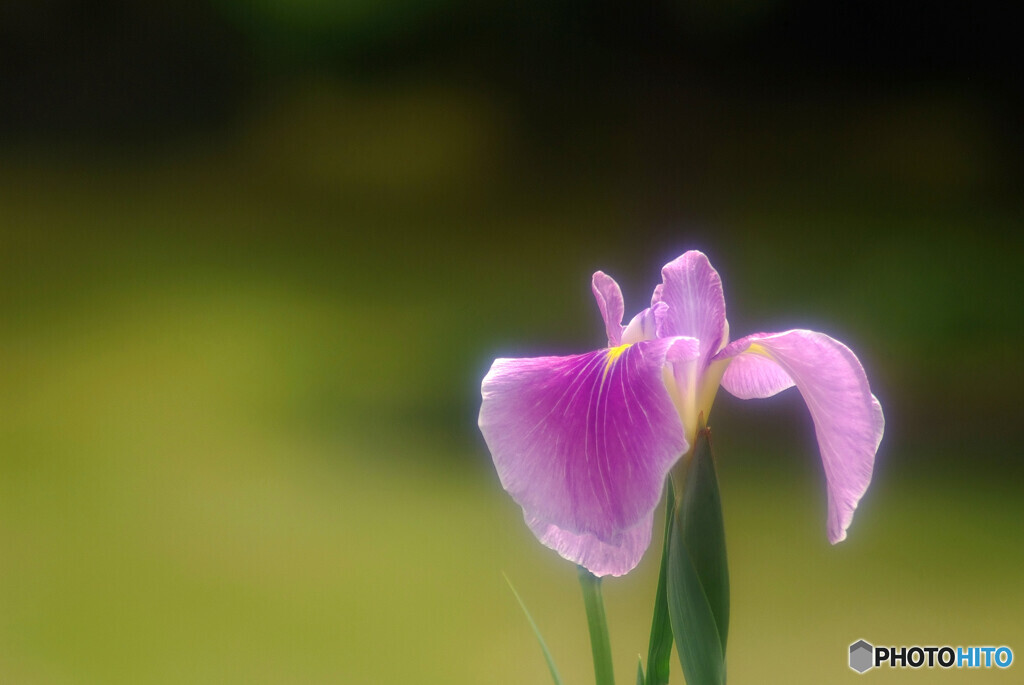 Nice memoriesⅡ✿和心