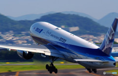 Morning Fight・2020