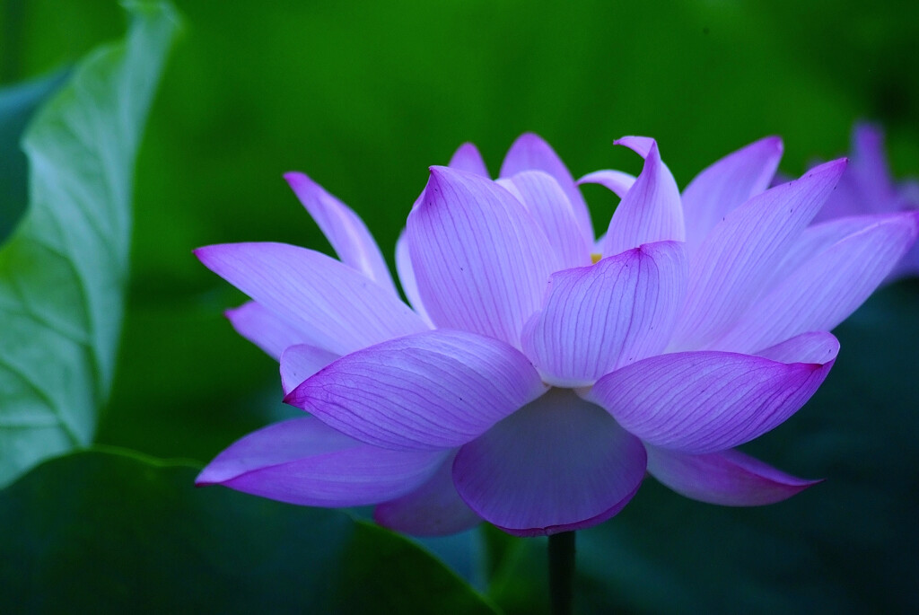 Eternal shine✿想い