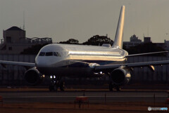 January TravelerⅨ★Airbus A321-211 