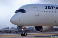 風を感じて✈Airbus A350-900