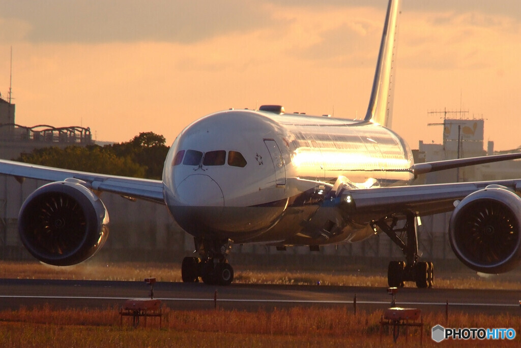 希望の光✈Dreamliner