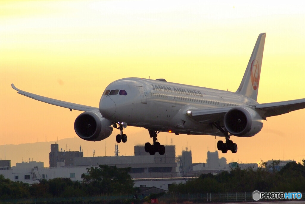 朝焼けに飛ぶ✈Boeing787-8