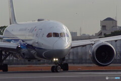 December morningⅦ✈Boeing787-8