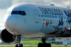 Nice Afternoon・2020