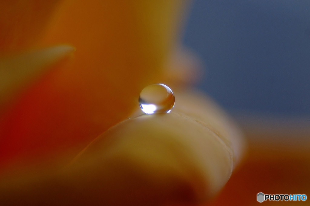 愛しき惑星・春