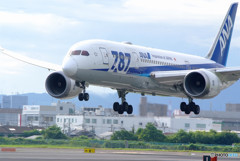 夏よ走れ（Ⅱ）・2017 