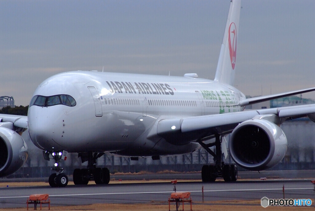 Morning Runner✈JA03XJ