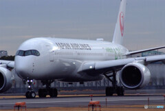 Morning Runner✈JA03XJ