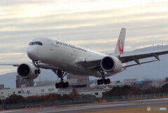 2月の朝✈A350-900