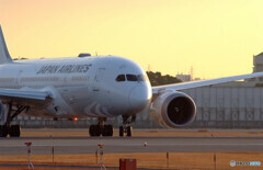 睦月の朝✈Good Luck !