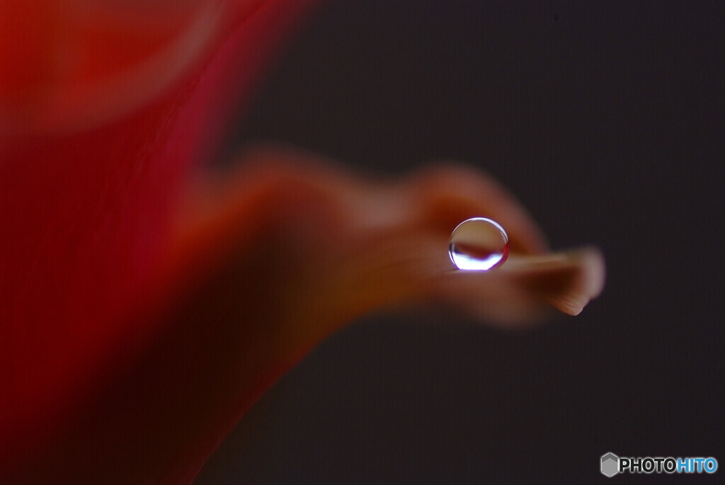 月の雫Ⅲ✾あかり