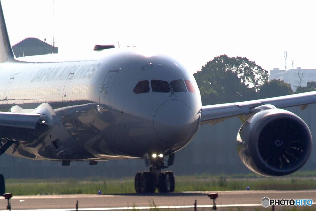 孤高の翼✈787-8 Dreamliner 