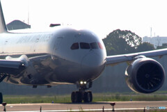 孤高の翼✈787-8 Dreamliner 